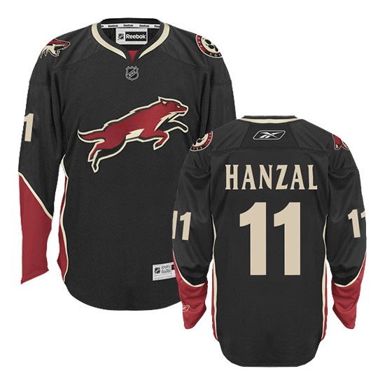 martin hanzal jersey