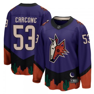 Michael Carcone Arizona Coyotes Fanatics Branded Breakaway Purple 2020/21 Special Edition Jersey