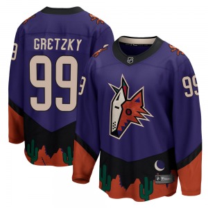 Wayne Gretzky Arizona Coyotes Fanatics Branded Breakaway Purple 2020/21 Special Edition Jersey