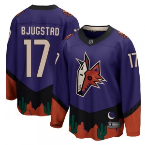 Youth Nick Bjugstad Arizona Coyotes Fanatics Branded Breakaway Purple 2020/21 Special Edition Jersey