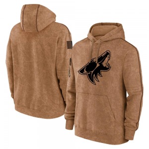 Arizona Coyotes Brown 2023 Salute to Service Club Pullover Hoodie