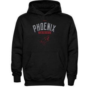 Youth Arizona Coyotes Reebok Black Phoenix Acquisition Fleece Pullover Hoodie -